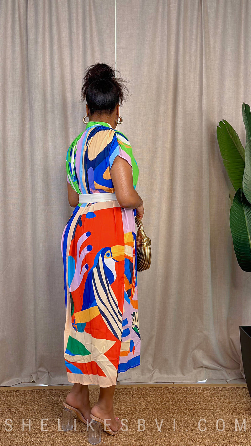 Botanic Beauty Red & Blue Multicolor Midi Dress